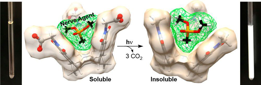 Illustration of nerve agent encapsulation