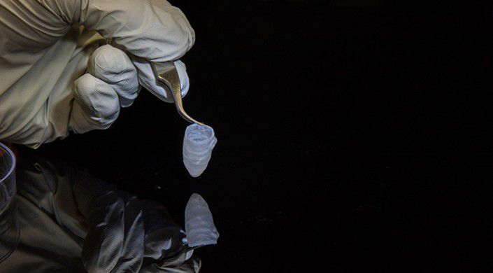 Image: three-dimensional model of a left heart ventricle