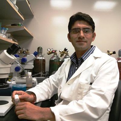 Anil Rana