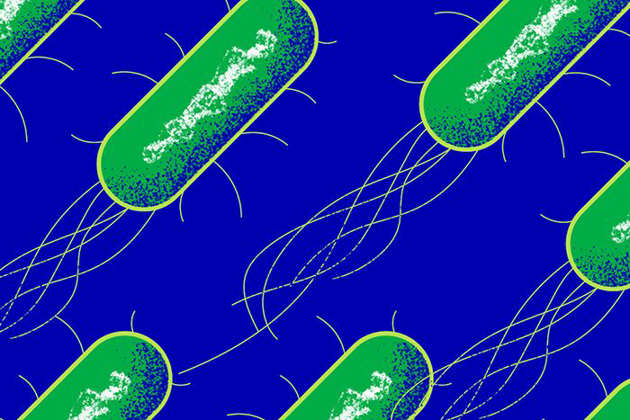 Illustration: Bacterial Armor