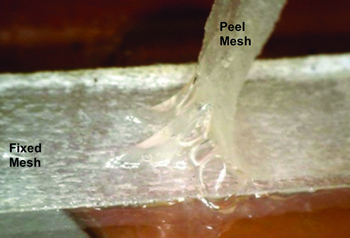 Close-up of mucus being ripped apart during an experiment in the Button Lab.