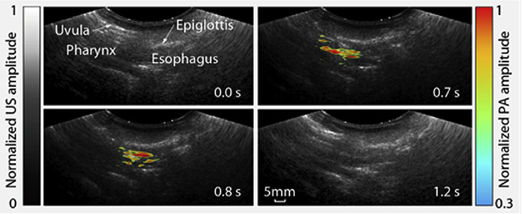 Barley-imaging-1075x440-compressor.jpg