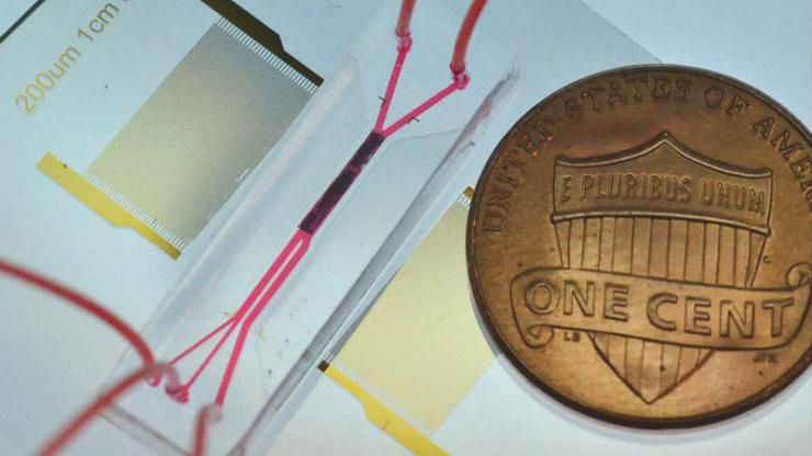 A new device roughly the size of a penny uses sound waves to gently separate circulating tumor cells from biological fluids