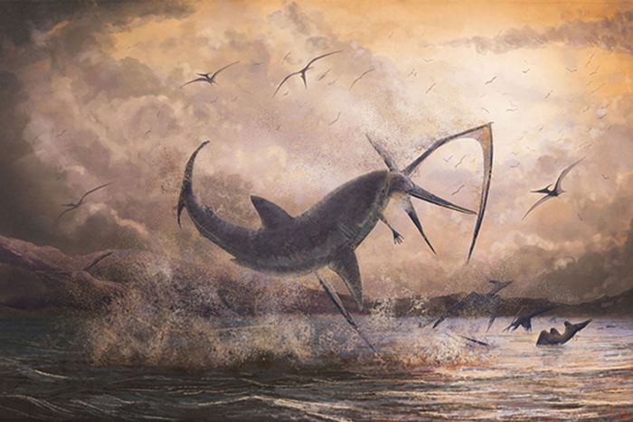 Illustration of prehistoric shark interacting with a pterosaur.
