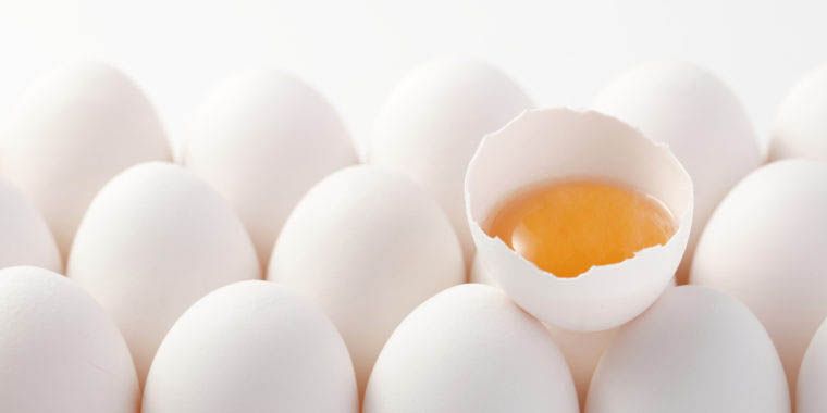 eggs