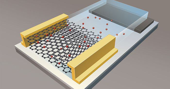 a graphene device