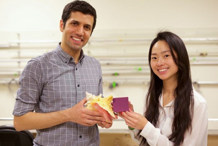 Photo of MIT postdoc Mahdi Takaffoli and graduate student Grace Gu.