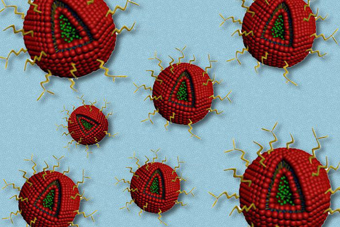 Brain-tumor-targeting nanoparticles