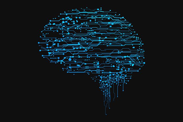 Image of brain