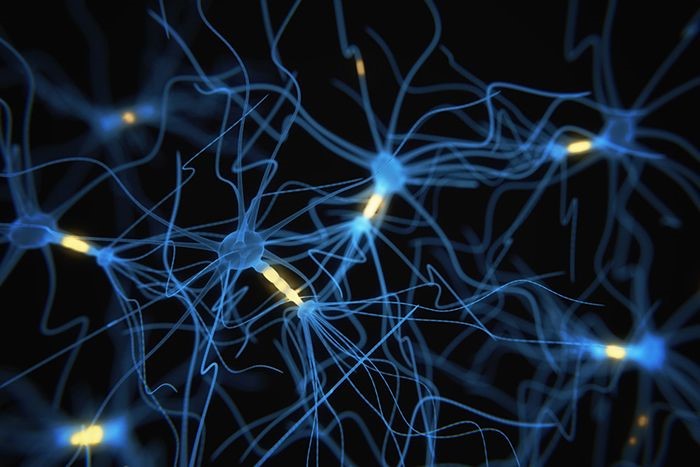 Image of a neuron