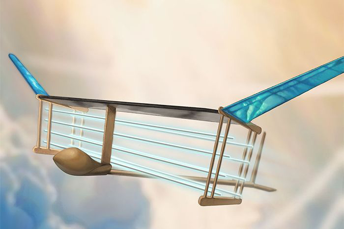 Illustration of new MIT plane
