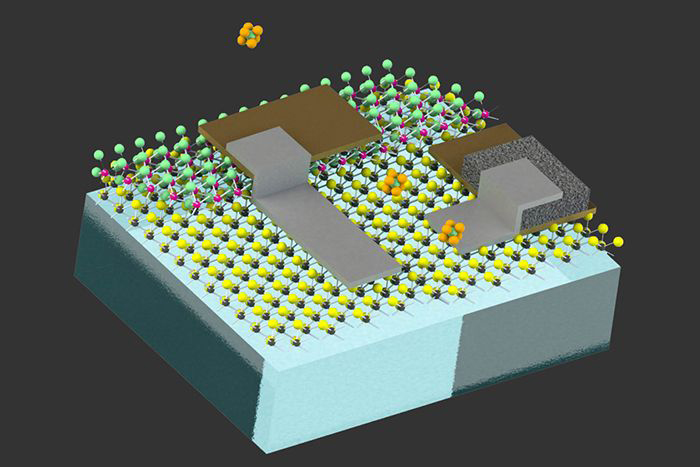 Diagram illustrates the design of the tiny devices