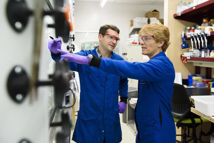 Fred Tomlin works in the lab with professor Carolyn Bertozzi.