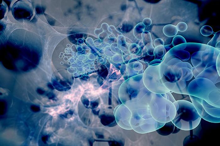Nanoparticle