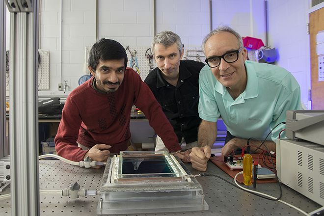 Graduate researcher Balachandra Suri, Professor Roman Grigoriev and Professor Mike Schatz.