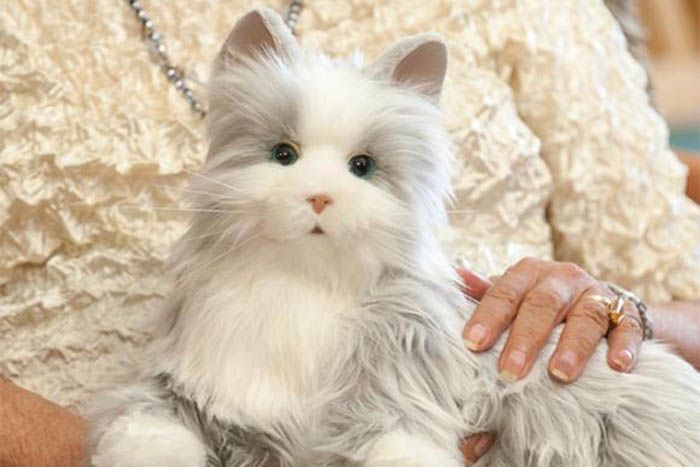 hasbro robotic cat