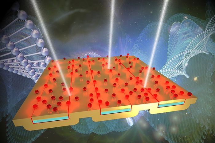 Image of a new device for surface enhanced infrared absorption spectroscopy.
