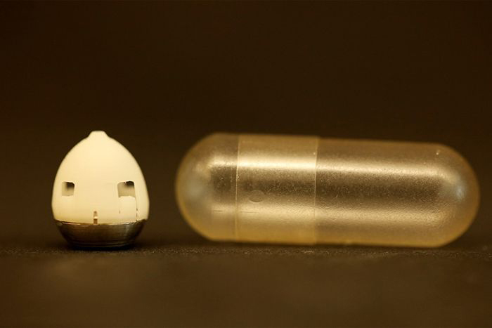 Image of the ingestible microneedle.