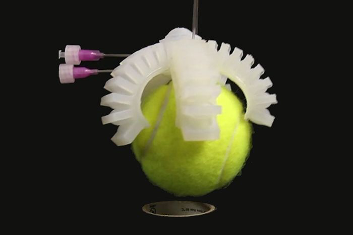 Image of a soft robot