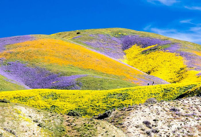 Carrizo Plain National Monument