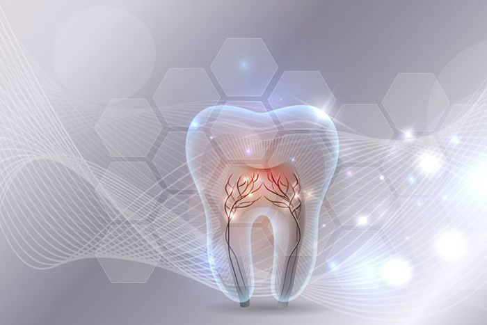 Tooth illustration
