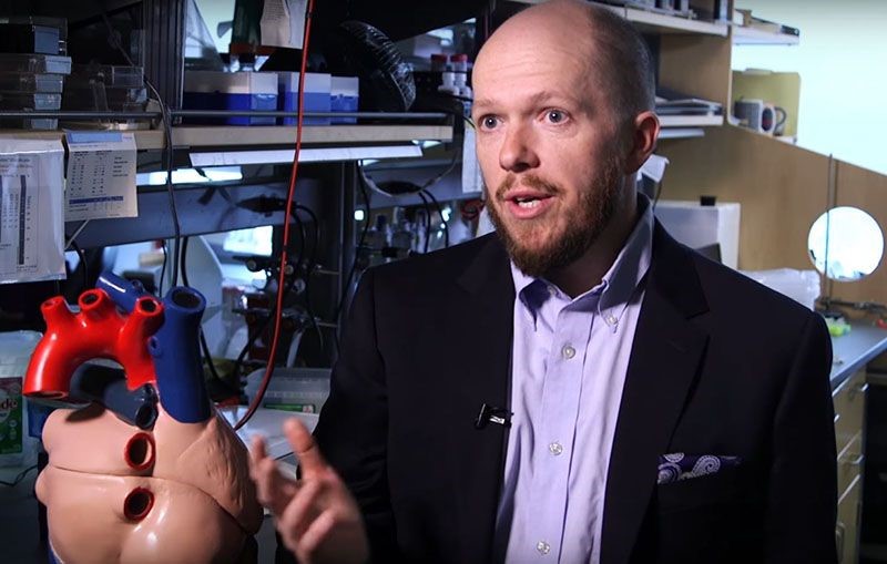 Photo of W. David Merryman, associate professor of biomedical engineering.