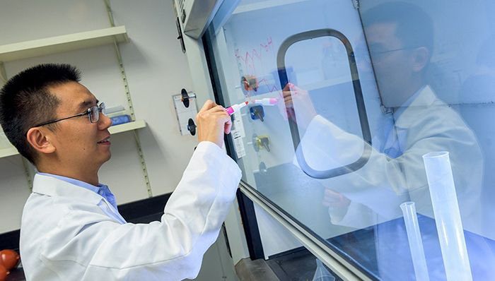 Yubin Zhou, PhD, associate professor at the Texas A&M Institute of Biosciences and Technology.