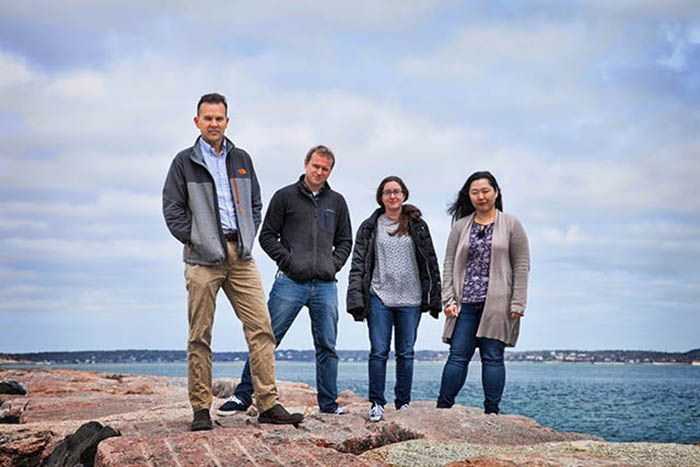 Dr. Christopher Gobler and his team, from left: Andrew Griffith, Dr Theresa Hattenrath-Lehmann, and Dr Yoonja Kang.
