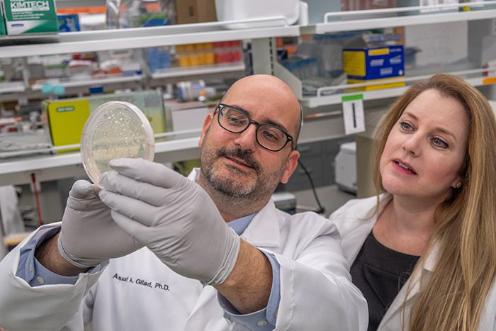 Image: Assaf Gilad, a professor of biomedical engineering and radiology, and Galit Pelled, a medical bioengineering professor