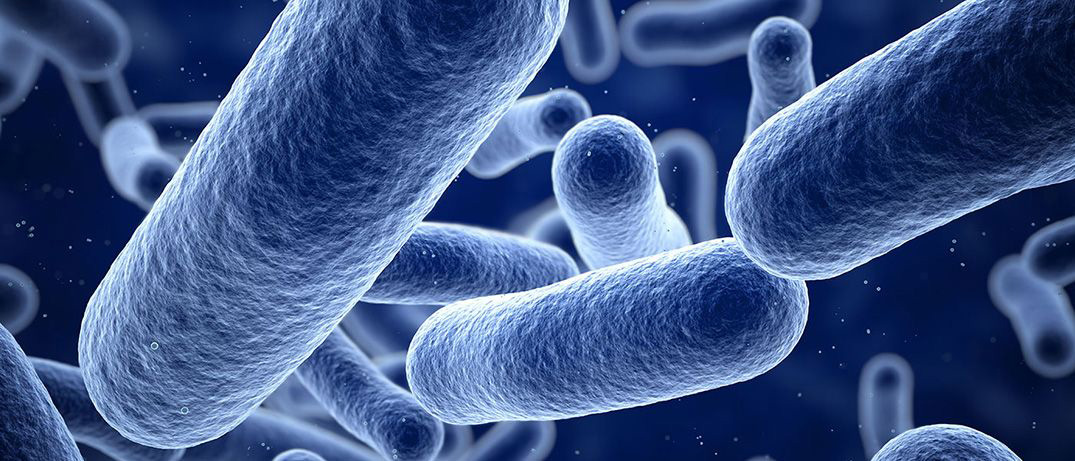 Results in mouse sepsis model lay foundation for clinical trials