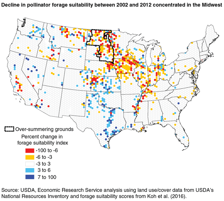 bee-map-7754x677-compressor.png