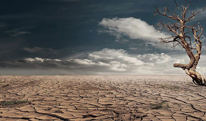 image: barren landscape