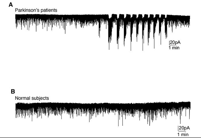 brain-oscillations-UB-700x482-compressor.jpg