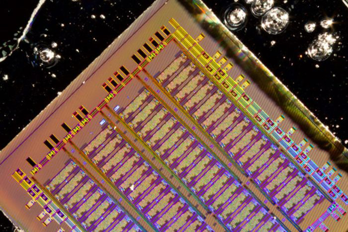 Photograph of the bulk silicon electronic-photonic chip