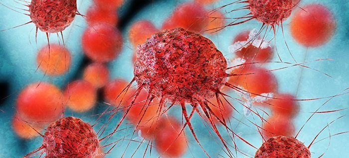 Cancer Cells