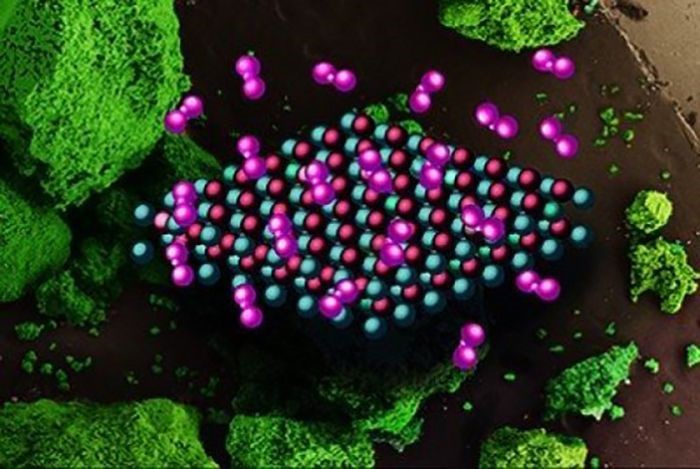 Electron microscopy image of concrete
