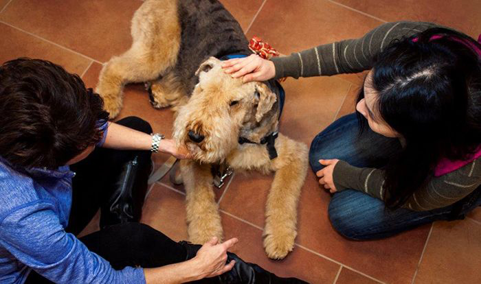 Students with dog