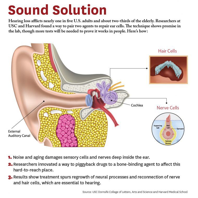 ear-graphic-USC-study-700x700-compressor.jpg