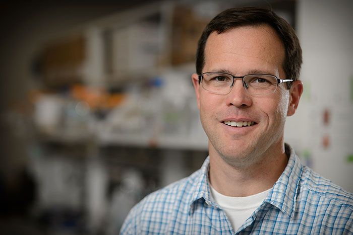 Eran Andrechek, co-author and physiology professor