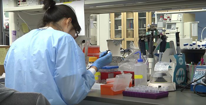Scientist working in a laboratory