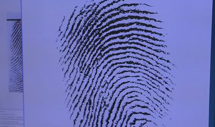 Image of a fingerprint