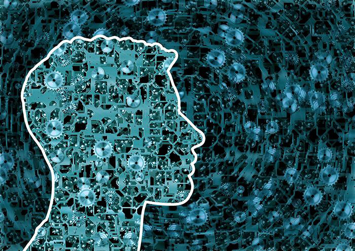 In the hours and days following a spinal cord injury, the gears that control the body’s internal clocks fall profoundly out of sync.