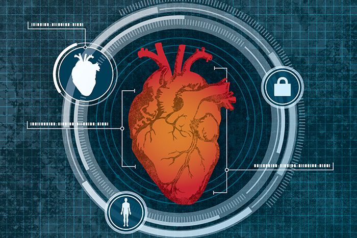 heart biometrics image