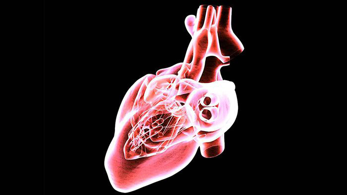 Image of heart