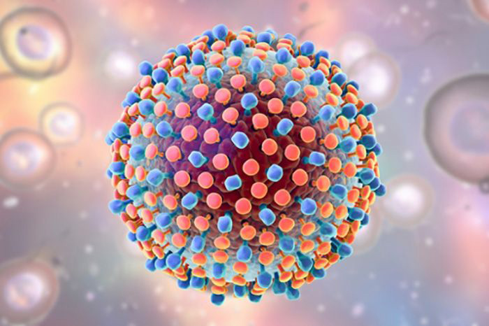 Hepatitis C virus illustration