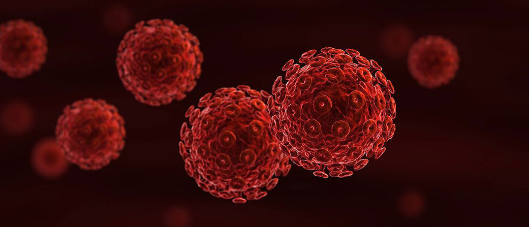 Image of T-cells