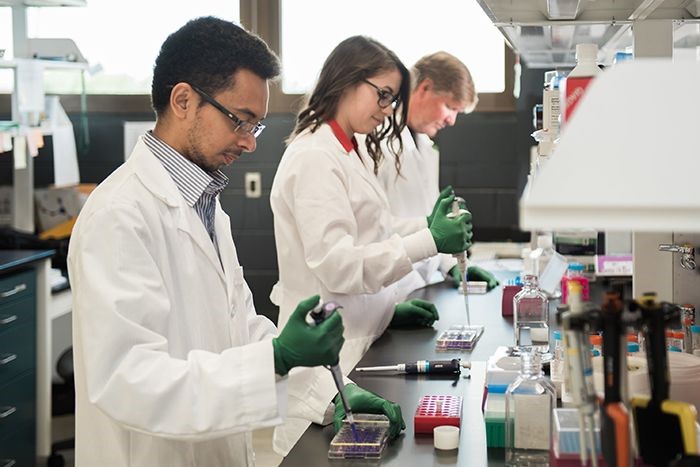 Photo of researchers in the Bernard Lab.
