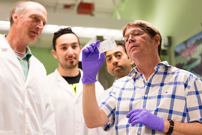 UW Kidney research team