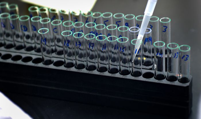 Image: test tubes