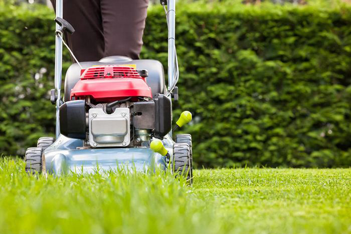 Image of man pushing lawnmower